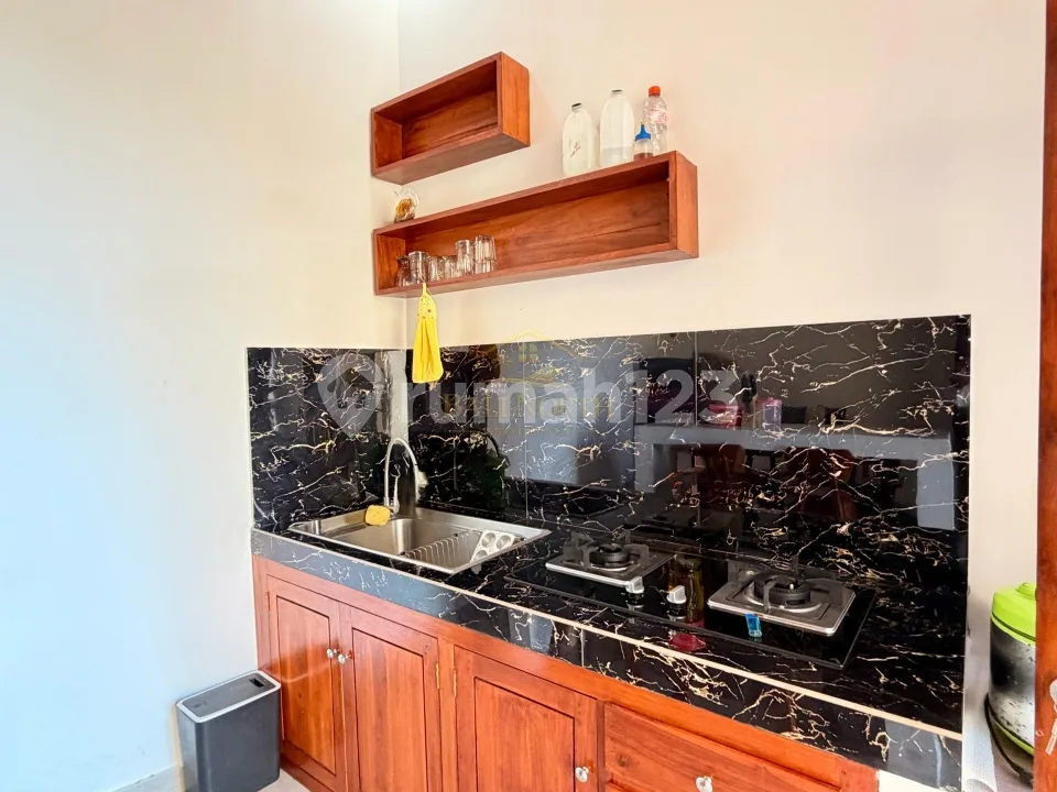 Brand New Villa Dijual / Disewakan di Temukus, Lovina, Bali Utara - Image 3 of 4