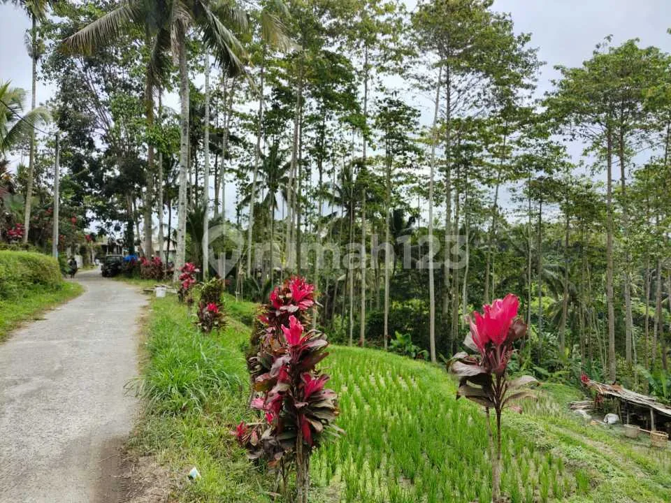 Di Jual Tanah View Sawah Gunung dan Lembah Lokasi Ubud - Image 4 of 4