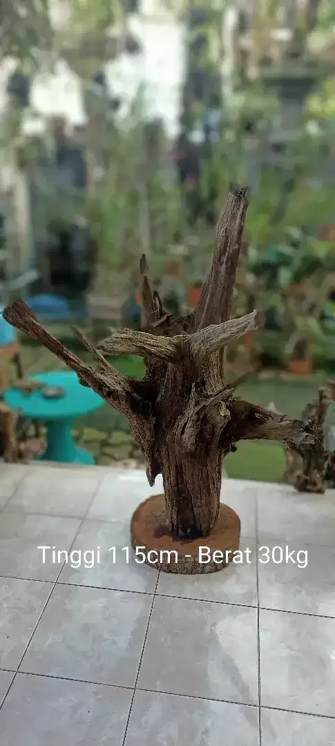 Kayu fosil estetik dan unik - Image 1 of 2
