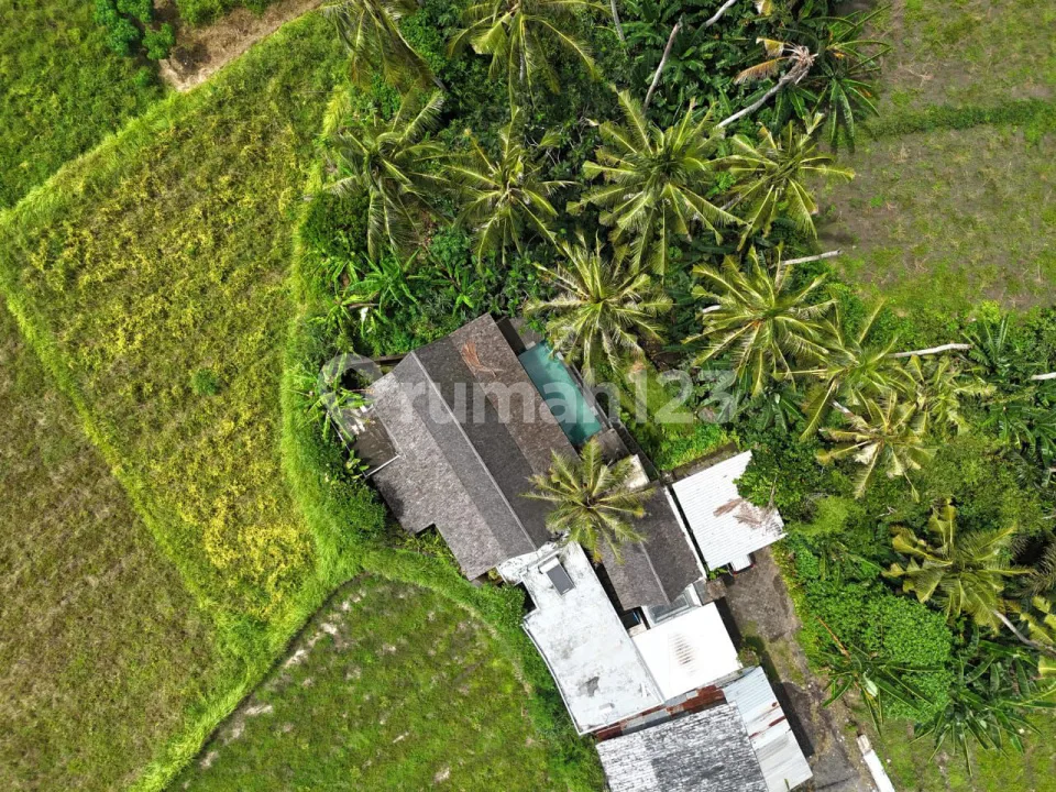 Dijual Villa di Pantai Purnama View Sawah dan Sungai - Image 3 of 4
