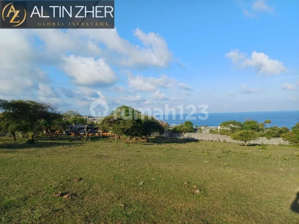 Sale!! Tanah 16,600M2 Full Ocean View Tebing Pandawa - Image 3 of 4