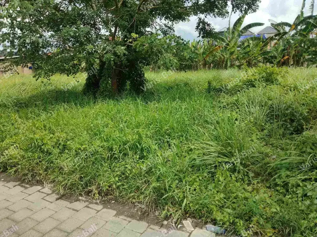 DIJUAL TANAH KECIL BUDUK - Image 3 of 4