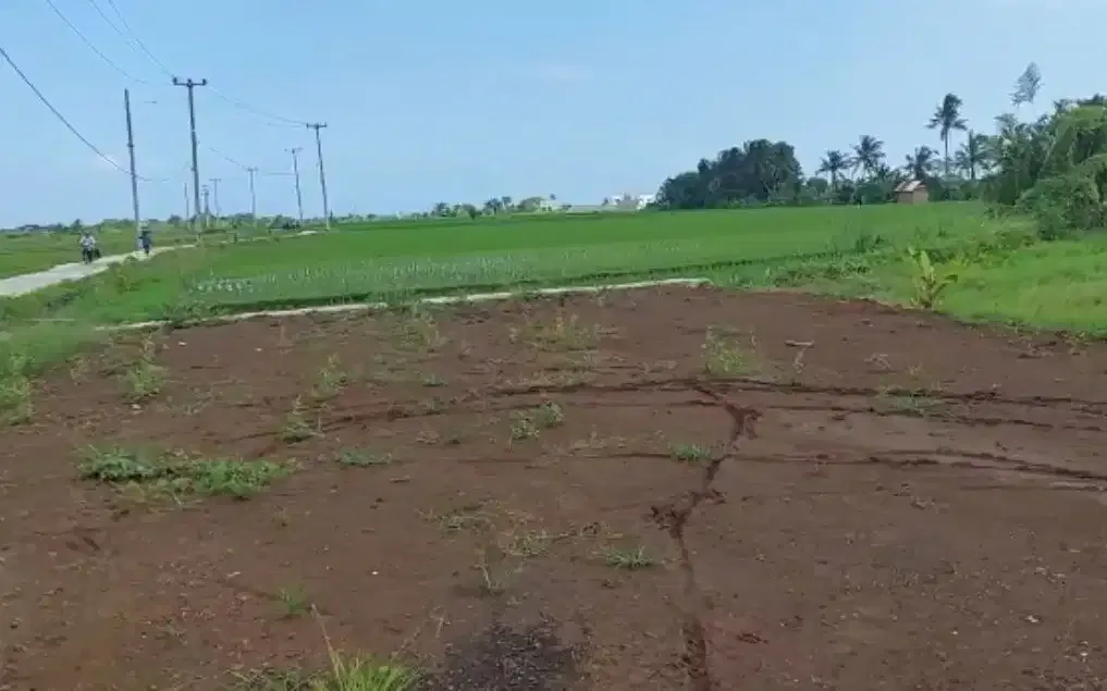 DIJUAL TANAH DEKAT PANTAI KEDUNGU TABANAN - Image 4 of 6