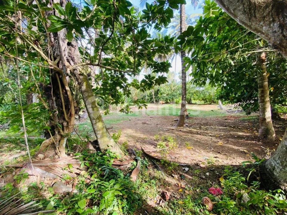 Tanah Bentuk Ideal Siap Bangun Strategis di Bali - Image 3 of 4