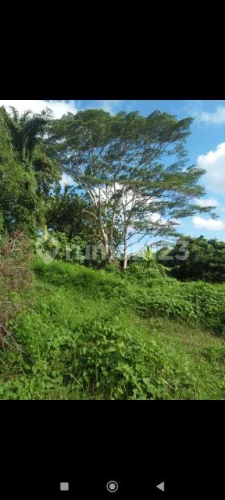 Tanah Los Sungai Wos Lodtunduh Ubud Cocok Villa - Image 3 of 4