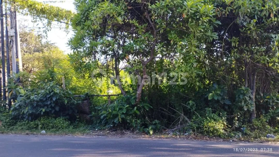 Dijual Tanah Denpasar Utara - Image 1 of 4