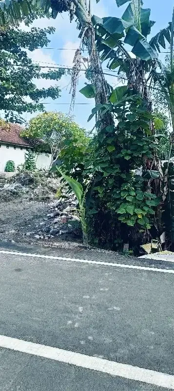 Dijual Tanah Strategis Area LC Denpasar/Badung, Hanya 7 Menit ke Canggu! - Image 2 of 3