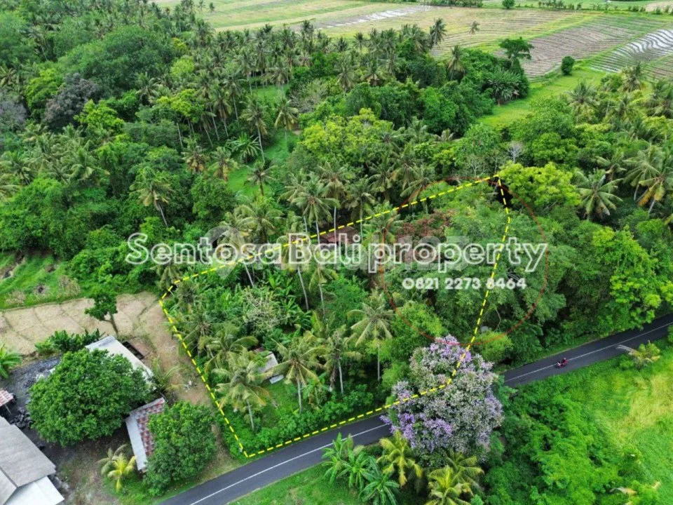 Tanah 1800 M2 di Beraban Selemadeg Tabanan - Image 3 of 4