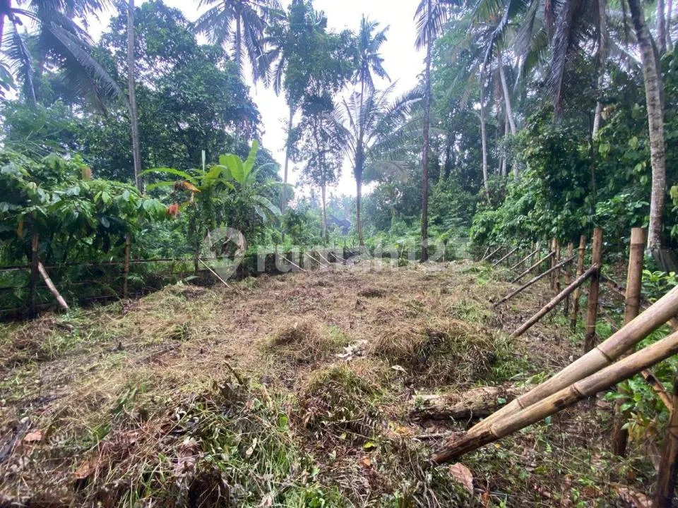 Termurah Singakertha Ubud Zona Kuning Siap Bangun - Image 1 of 4