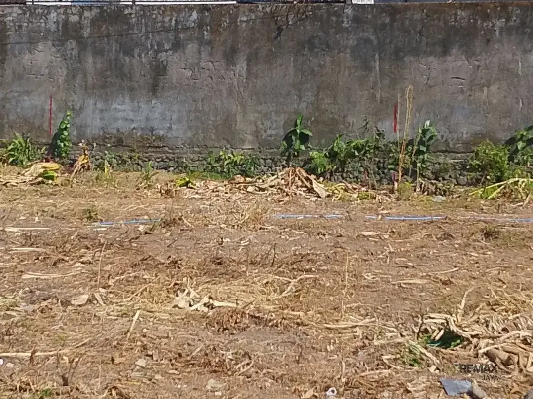 Tanah Kavling Leasehold maksimal 25 tahun dan Rumah Kost, di Tonja - Image 5 of 5