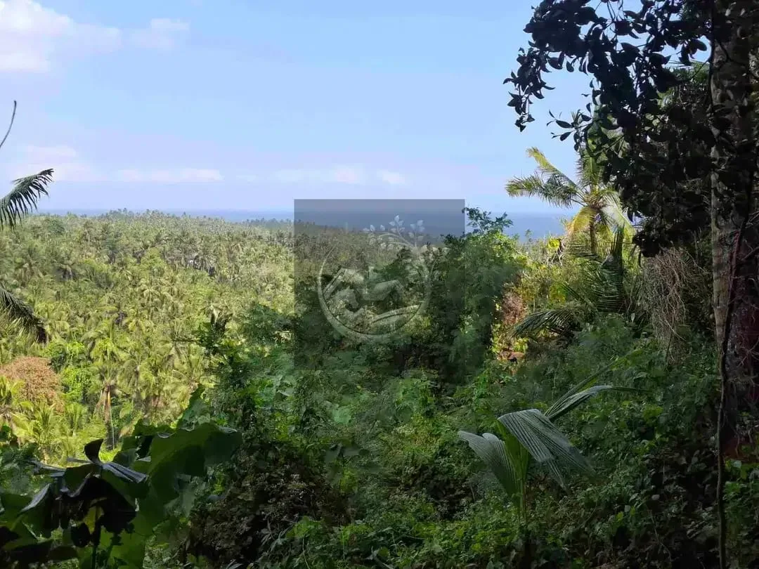 Dijual tanah strategis di kawasan wisata dekat akses jalan denpasar gilimanuk dengan view laut dan los sungai jernir berbatu - Image 2 of 10