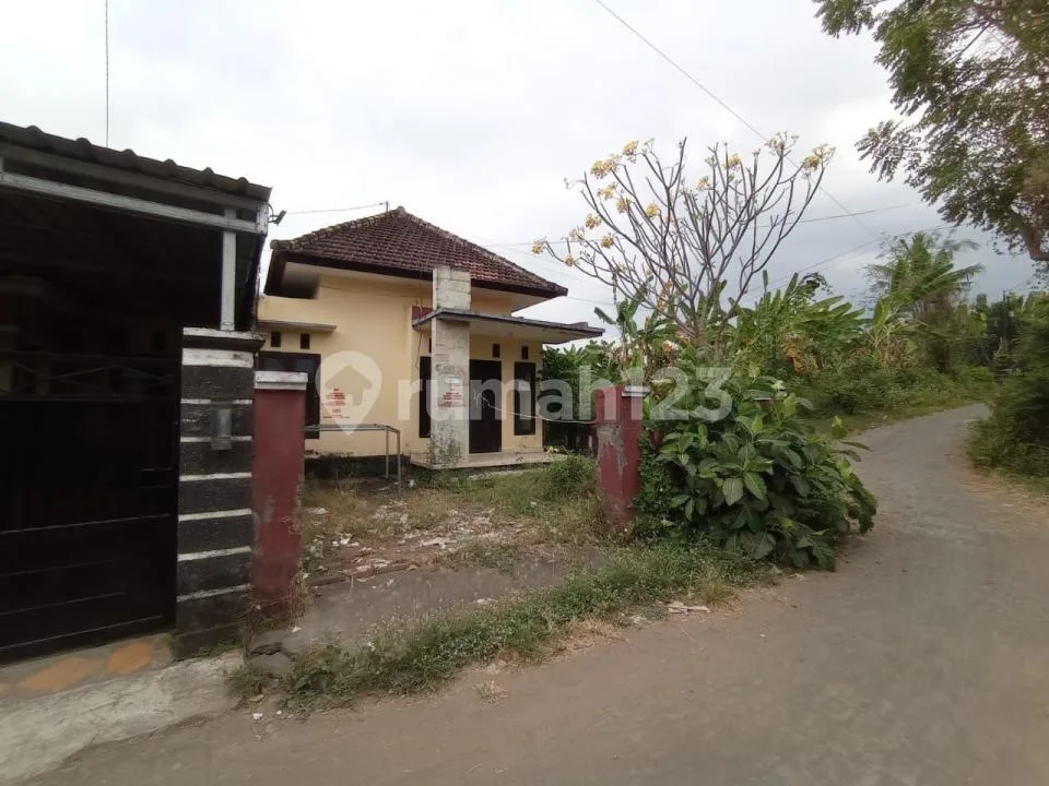 Rumah Siap Lelang Btn di Sukasada, Bali - Image 3 of 4