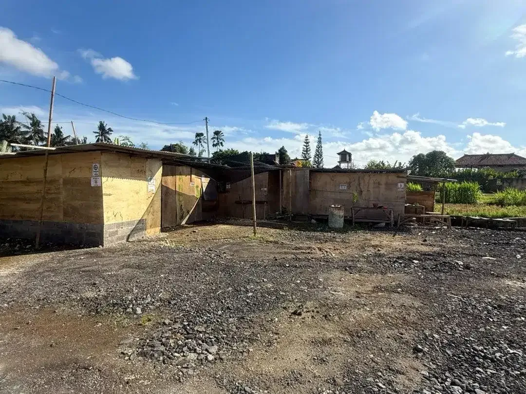 Prime Investment Land - 27 Are Leasehold Plot in Pejeng, Ubud - Secure Your Piece of Bali's Land - Image 7 of 10