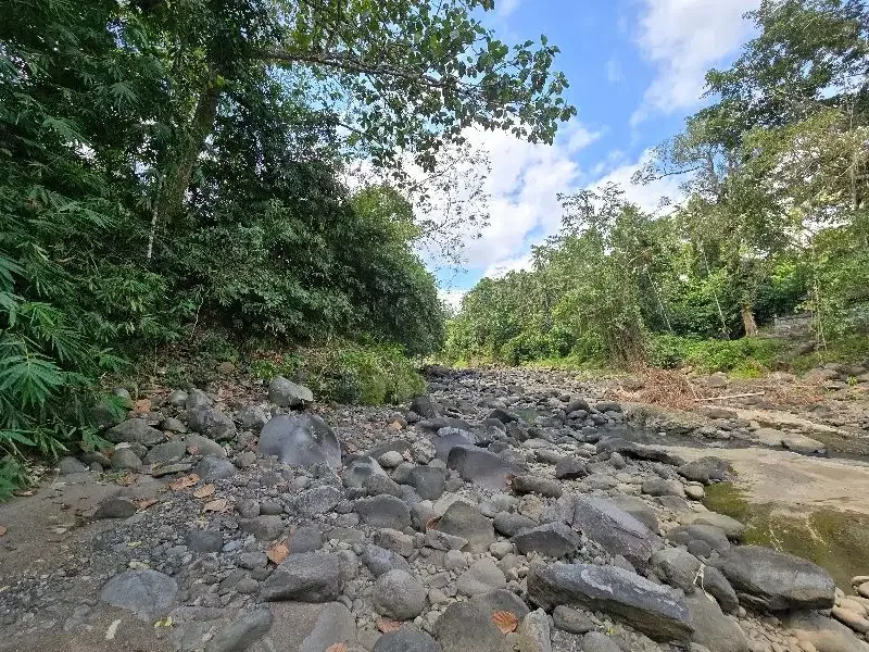DIJUAL TANAH LOS SUNGAI di tabanan bali BEBATUAN - Image 2 of 10