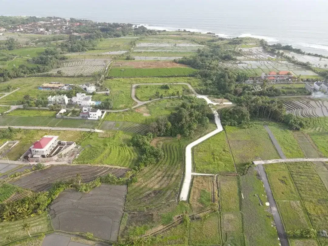 Exclusive Kedungu Land For Sale. - Image 5 of 5