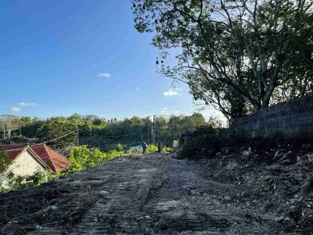Tanah langka sangat cocok di bangun usaha dan villa berada di pinggir jalan raya - Image 2 of 5