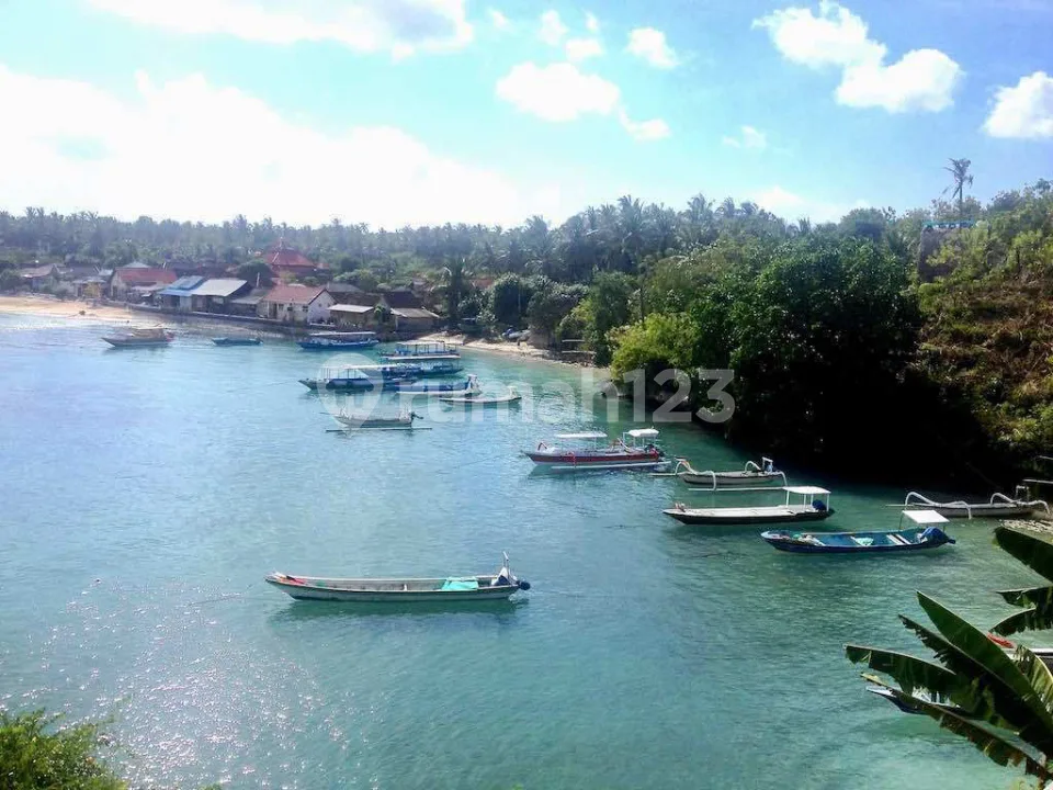 Jual Cepat Ocean View Land Nusa Penida 3 Hektar - Image 4 of 4