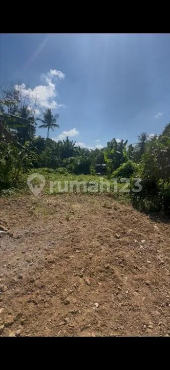Tanah 5 Are Termurah di Mas Ubud Zona Kuning - Image 4 of 4