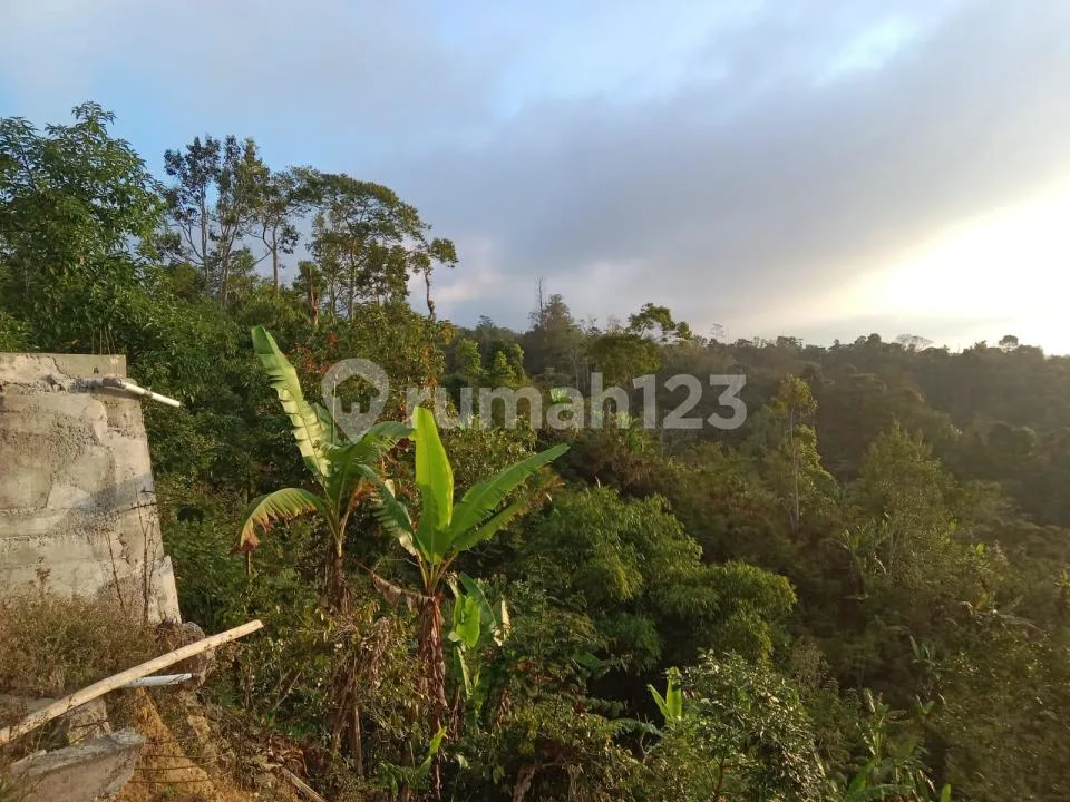 Tanah View Laut dan Sunset Buleleng #8904 - Image 2 of 4
