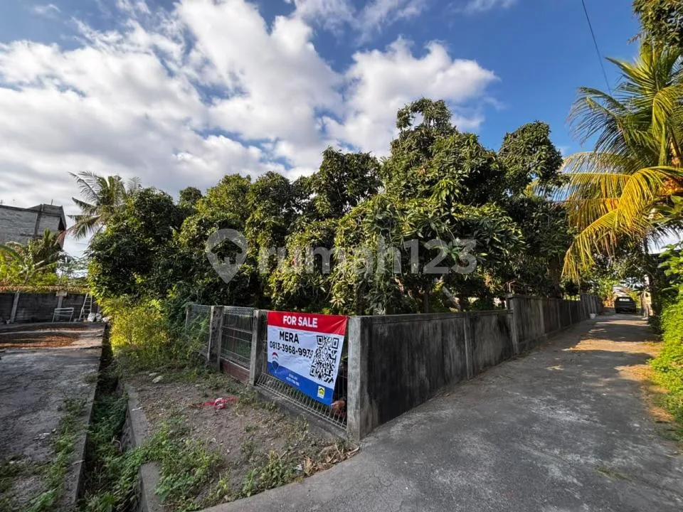 Dijual Cepat Tanah Kondisi Sudah Padat Siap Bangun di Singaraja - Image 4 of 4
