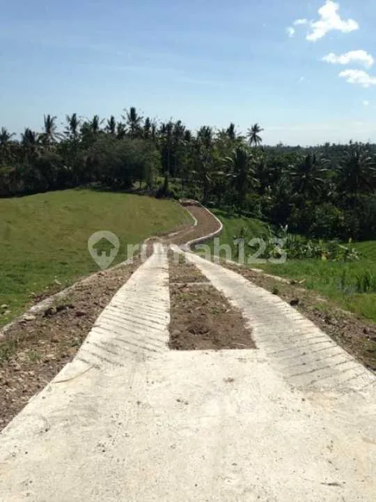 Dijual Tanah Luas 88 Are Selemadeg Barat - Image 4 of 4