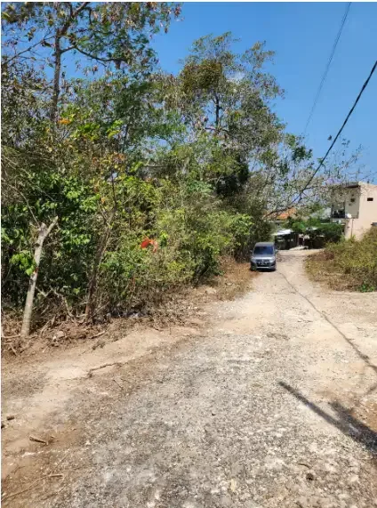 Tanah Sewa Murah 42 Are di Ungasan - Image 2 of 8