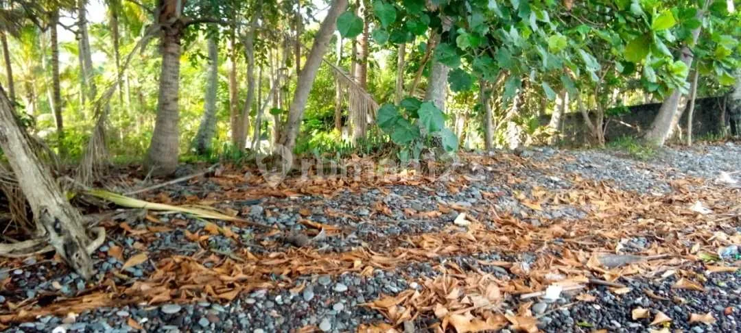 Beachfront Land 20 Are Pinggir Pantai Tejakula Buleleng Bali - Image 2 of 4