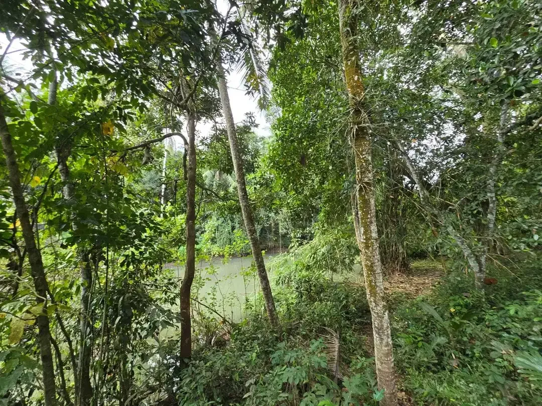 Dijual tanah los sungai view sawah di bali - Image 1 of 10
