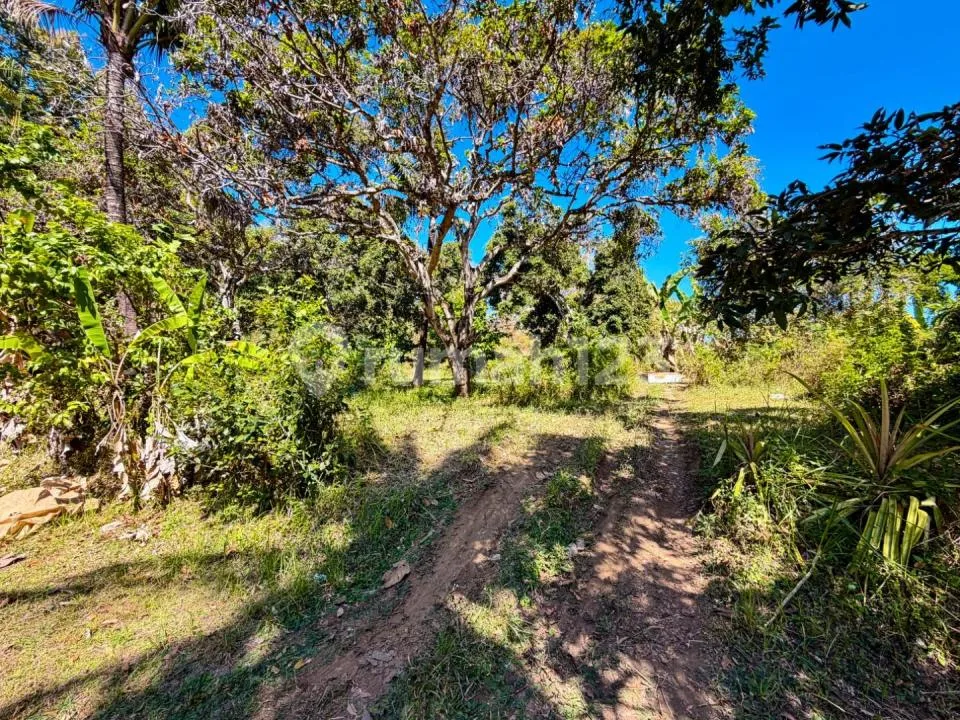 Tanah 50 Are Dijual di Anturan - Bali Utara - Image 3 of 4