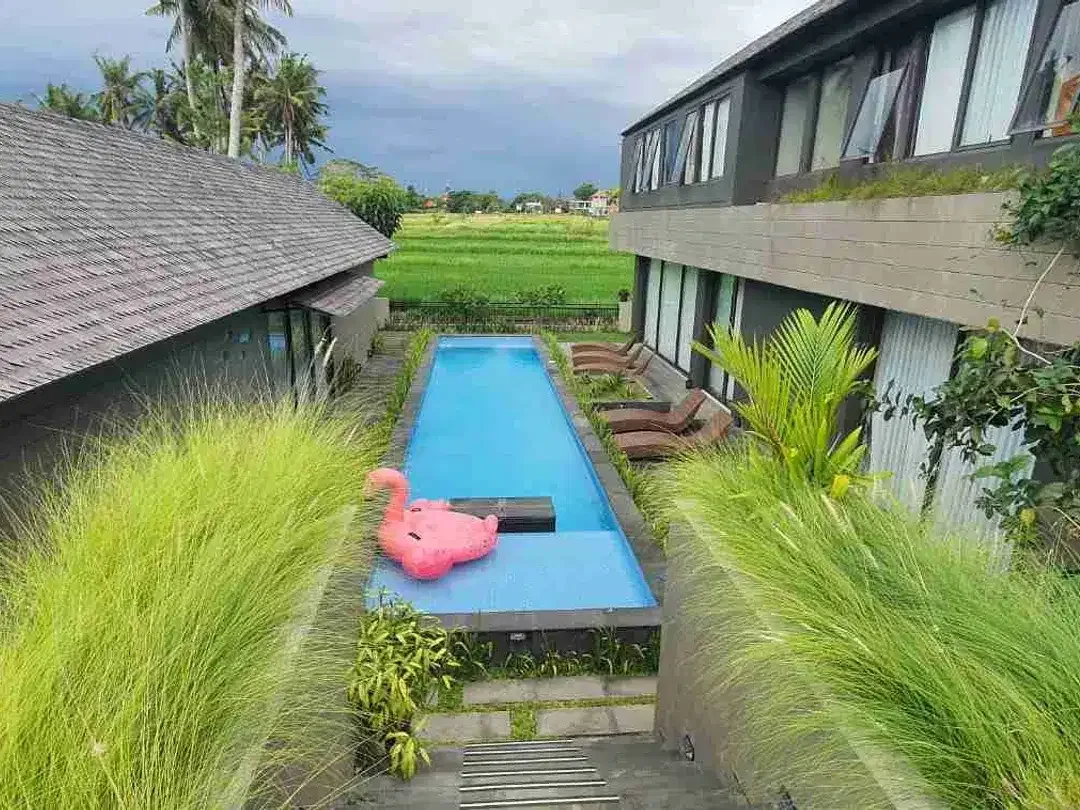 VILLA MODERN TROPIS VIEW SAWAH DI MAS UBUD GIANYAR - Image 7 of 10