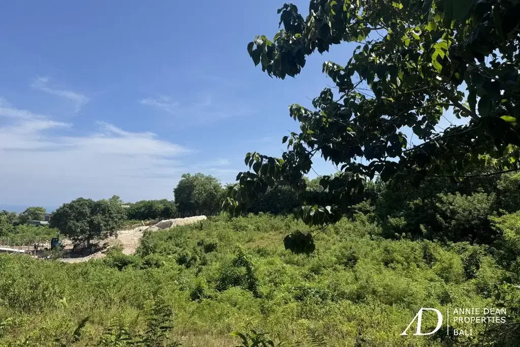 FREEHOLD LAND IN PECATU WITH OCEAN VIEW - PRIME FOR VILLA DEVELOPMENT - Image 2 of 6
