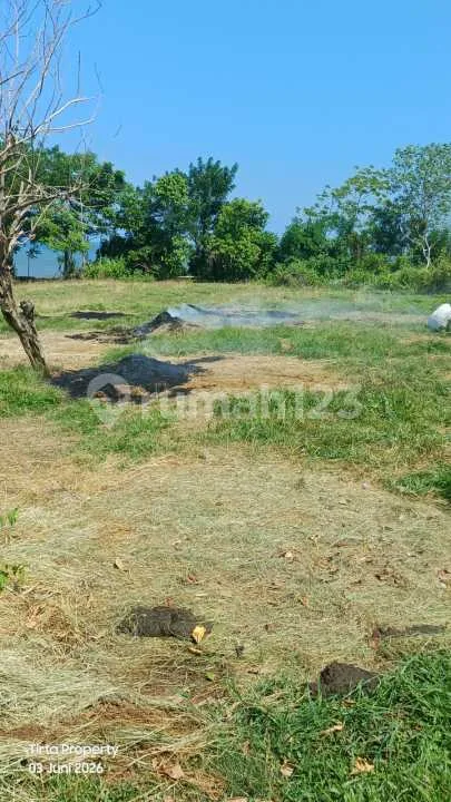Tanah, SHM, Dekat Pantai di Selemadeg Barat - Image 4 of 4