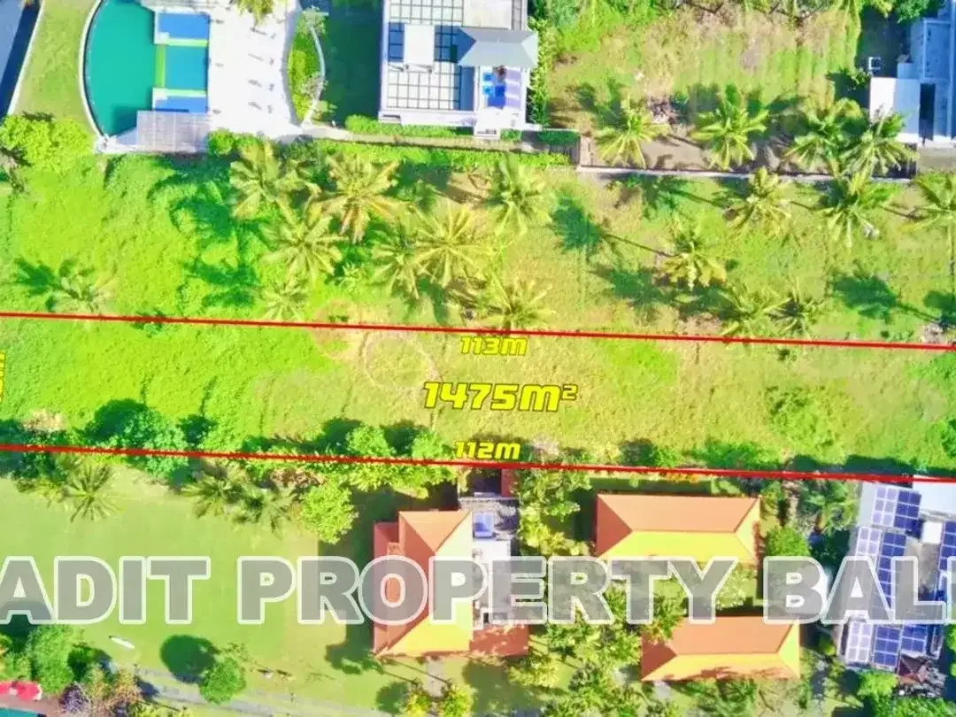 Tanah Beach Front Pantai Pasut Kerambitan Tabanan - Image 3 of 8
