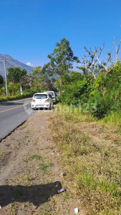 Jual Tanah Kintamani - Image 2 of 4