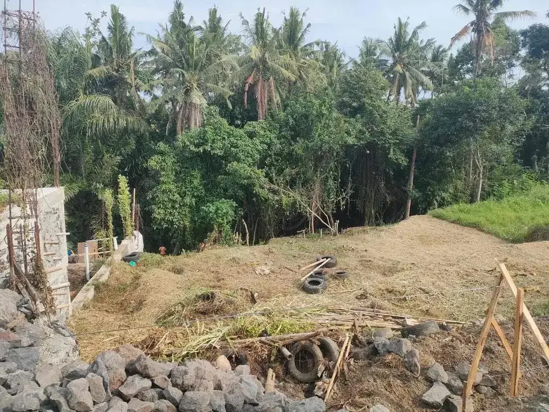 SMALL PLOT RICE FIELD , JUNGGLE AND RIVER VIEW AT SINGAPADU UBUD GIANYAR - Image 10 of 10