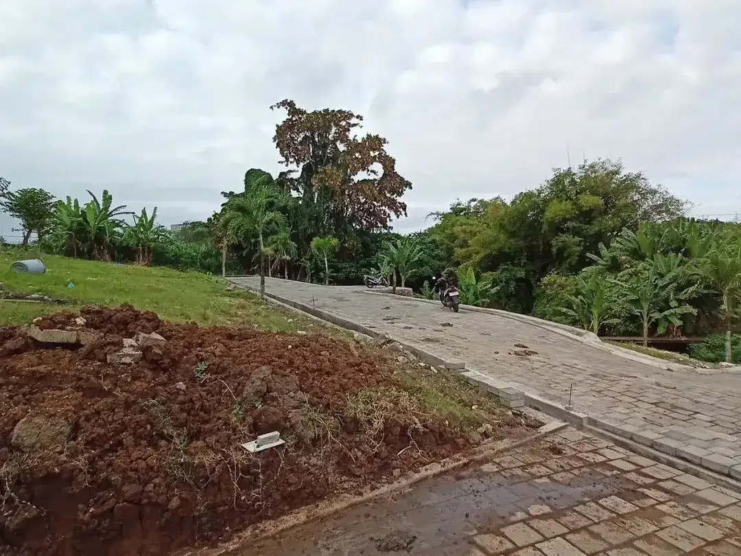 Freehold - Premium Land Available for Sale In Canggu - Image 3 of 7