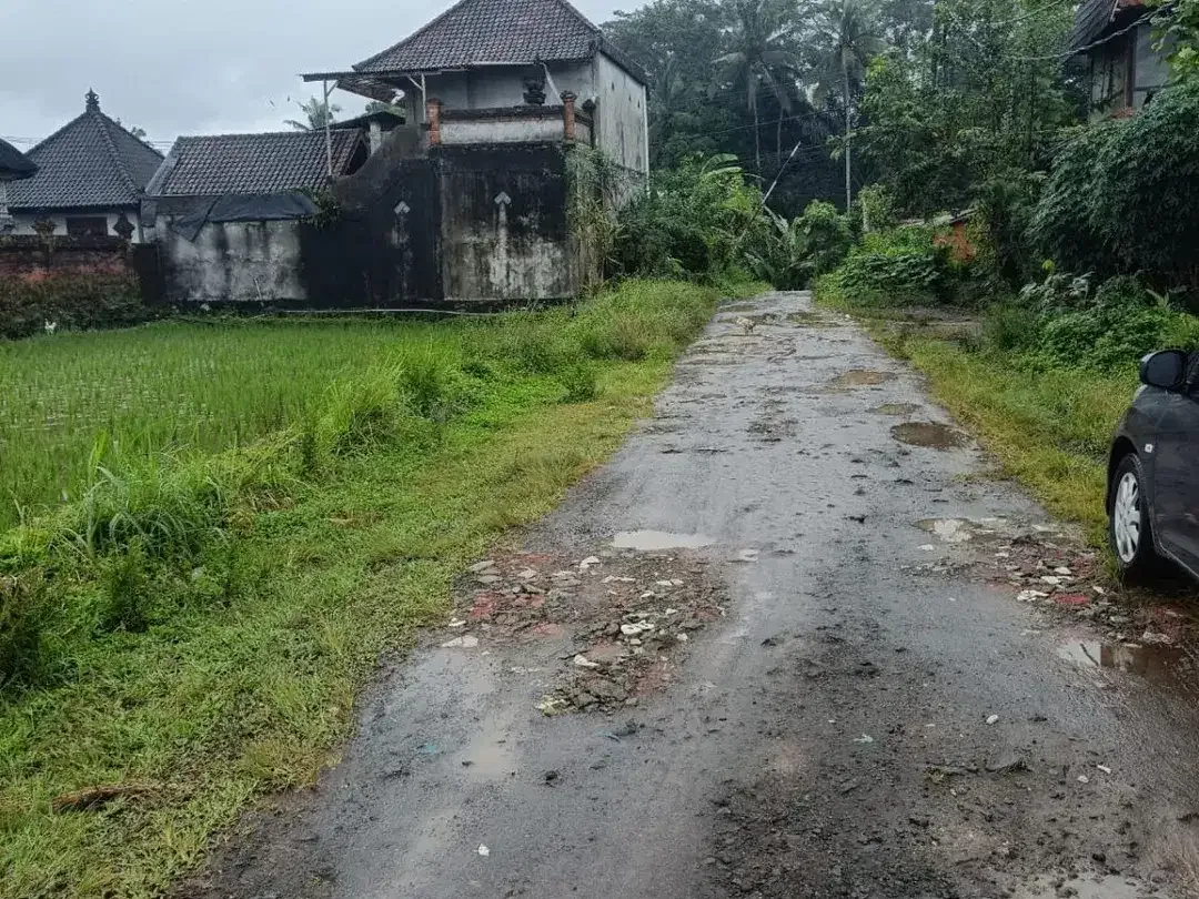 Tanah kavling besar 6,6 Hektar di Payangan, Ubud - Image 7 of 9