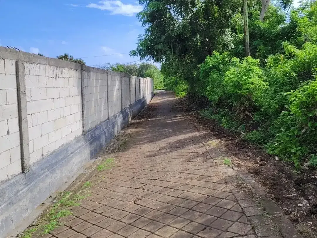 tanah kavling view laut di sawangan lingkar selatan,50 mtr dari jln besar - Image 7 of 10