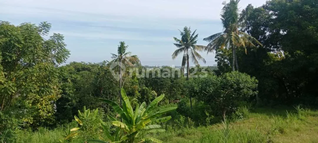 For Sale 20 Are Land With Beautiful View To The Ocean - Image 3 of 4
