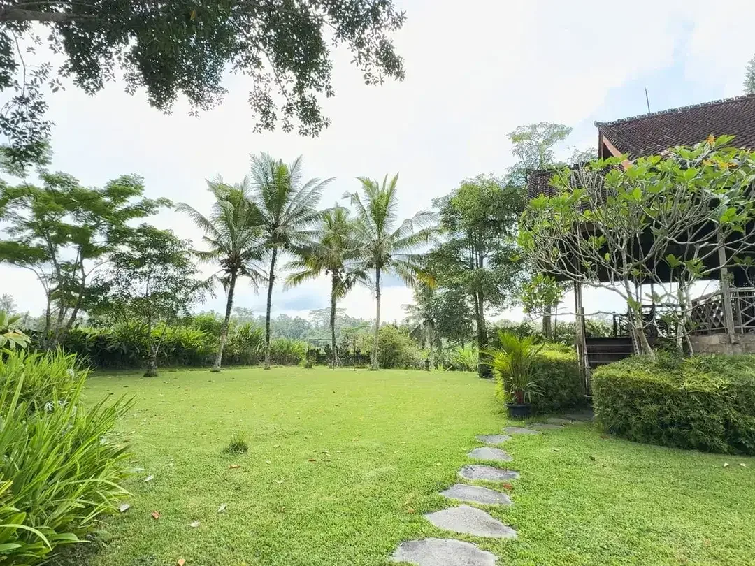 Dijual Tanah Bonus Rumah, Tanah dengan Pemandangan Sawah & Gunung di Tegallalang Ubud - Image 5 of 7