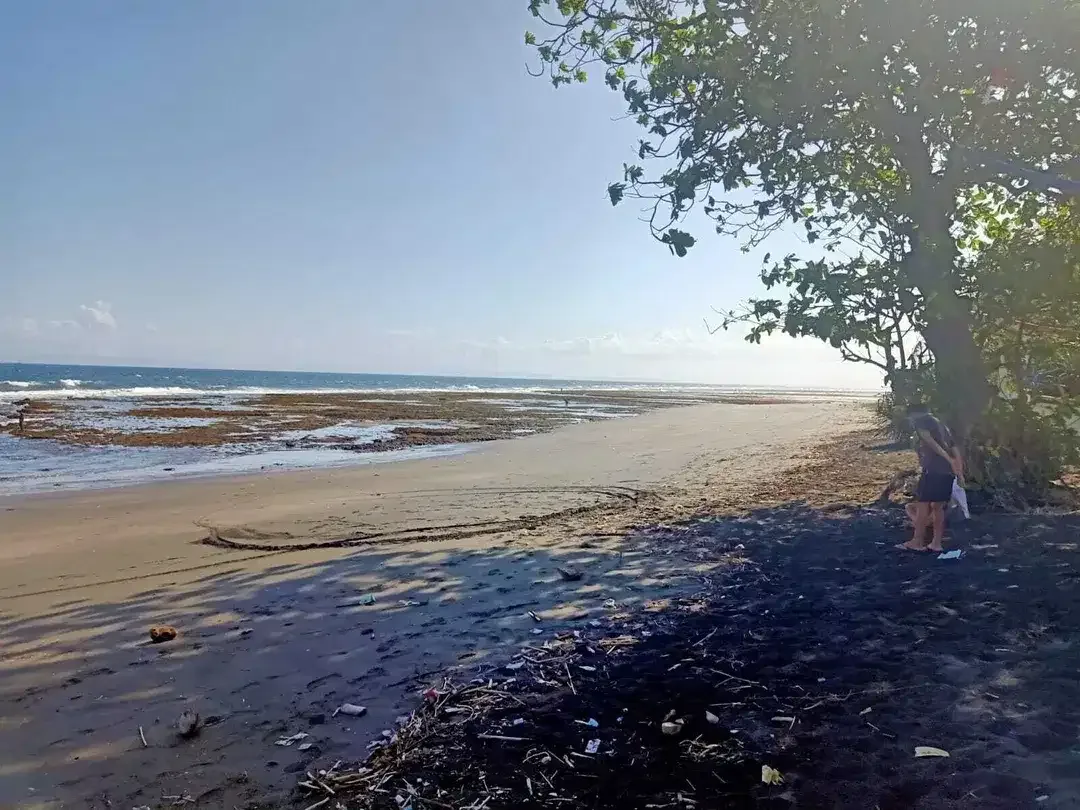 Beach front land di Perancak 30 menit ke pantai Medewi Bali - Image 3 of 8