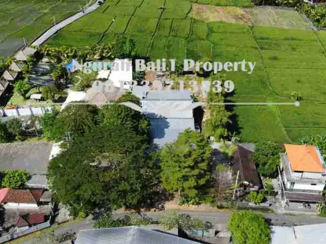 Land For Rent Murah 2160 m2 View Sawah Kawasan Villa di Ubud - Image 2 of 6