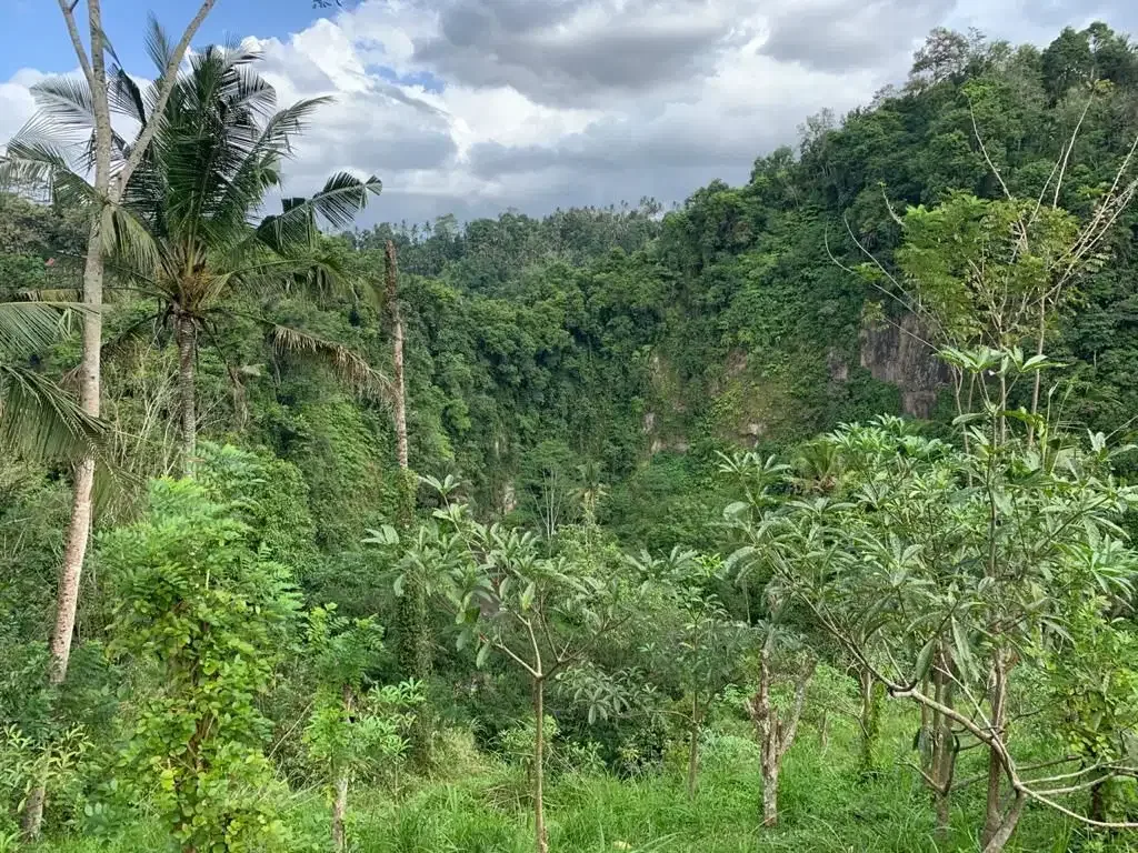 Tanah Strategis Lokasi Payangan - Image 2 of 5