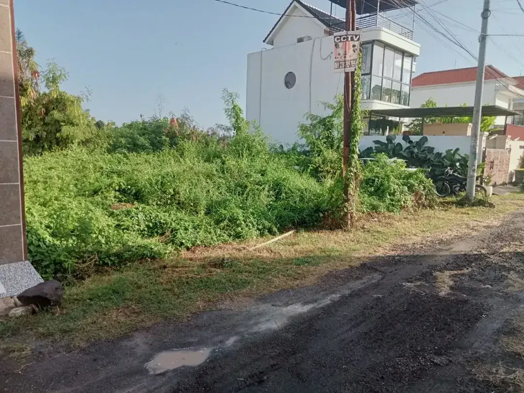 Land For Sale Munggu Pemaron - Image 8 of 9