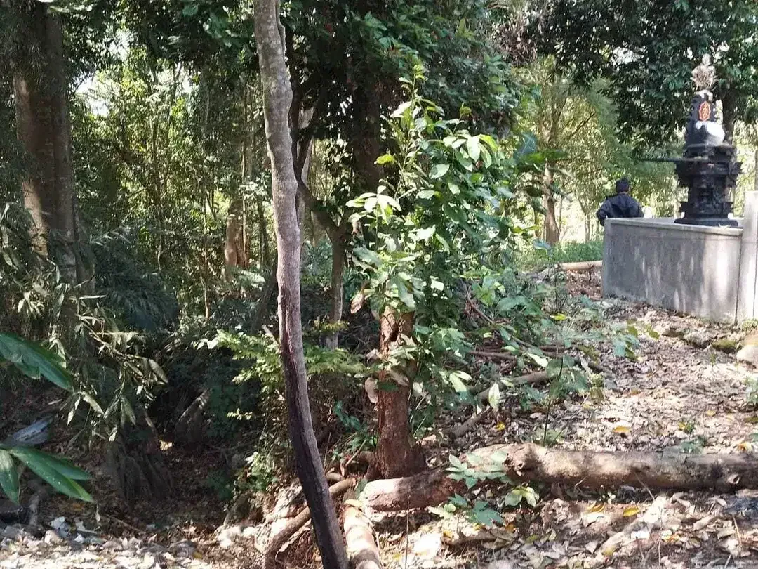 Land for sale in Kaba Kaba, Bali - Image 4 of 6