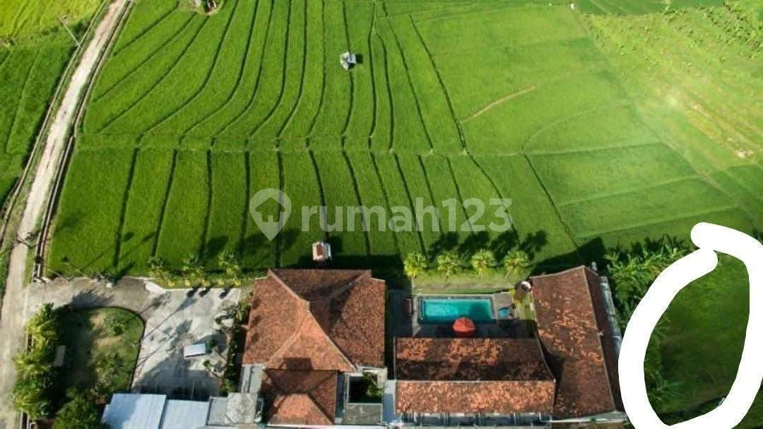 Dijual Villa di Canggu di Canggu, Badung - Image 2 of 4