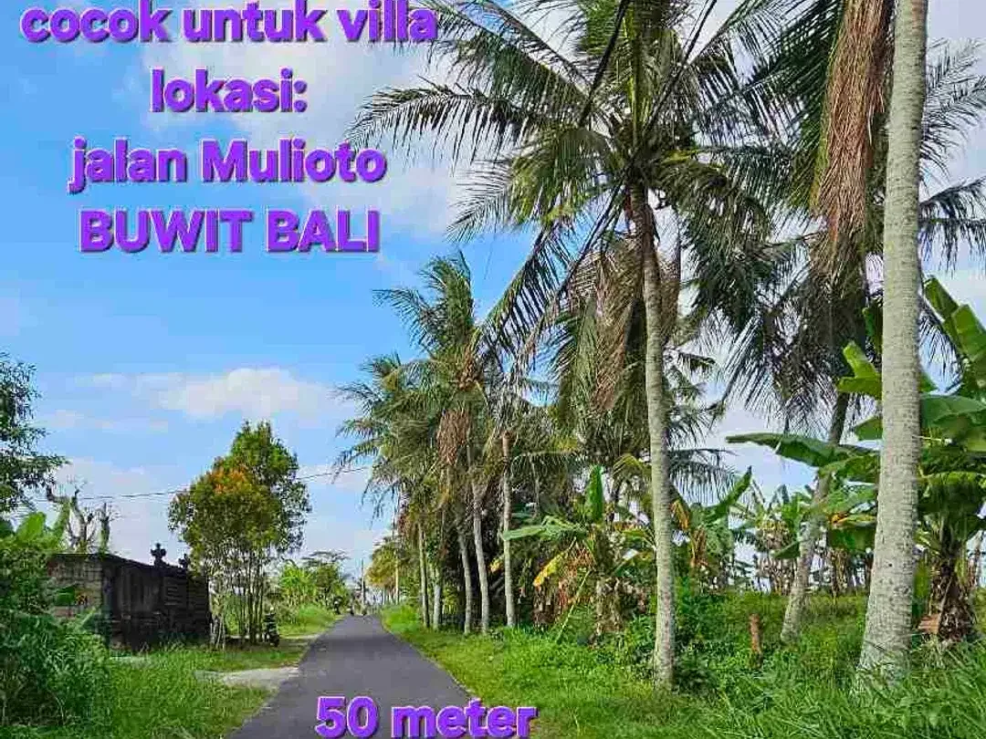 Jual Tanah 9,4are kawasan Pariwisata di Buwit area Tanahlot, Kedungu Tabanan Bali - Image 3 of 10