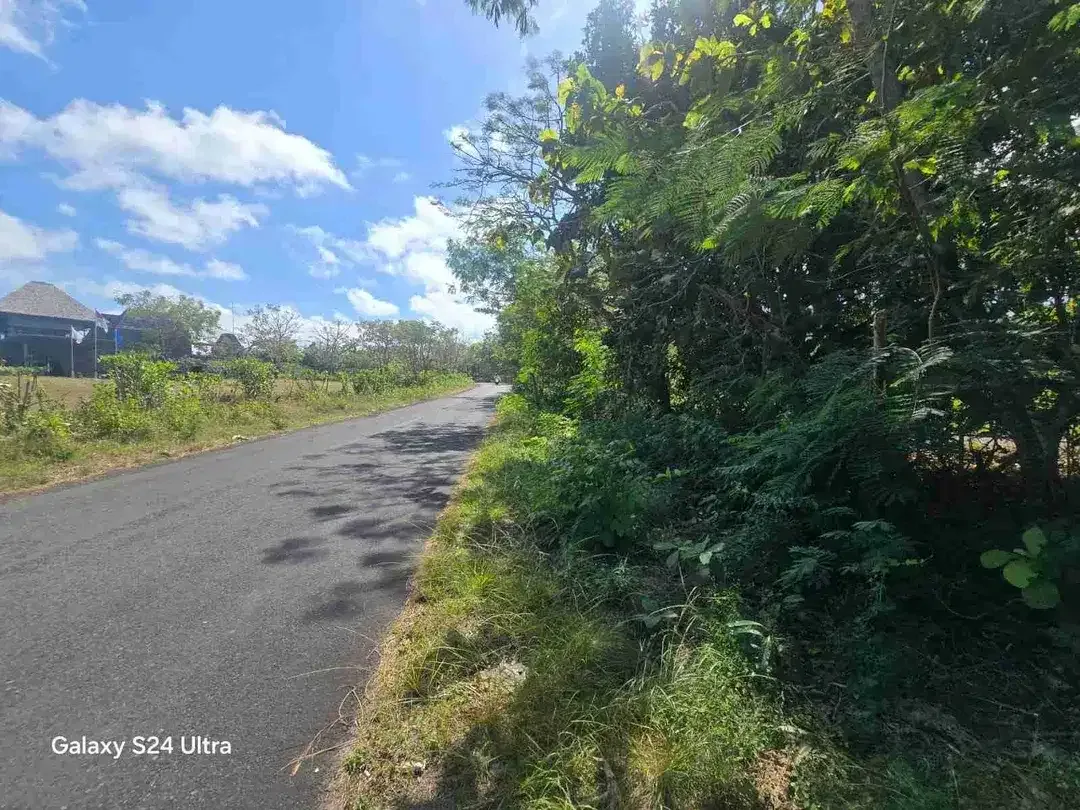Jual Tanah Luas 6.06Hektar Zona Pink /Zona Pariwisata Jl Gunung Payung ,ungasan - Bali - Image 3 of 8