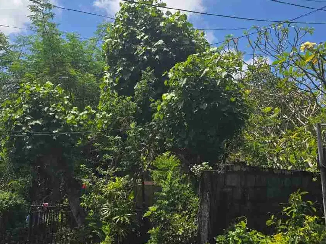 DIJUAL TANAH DEKAT OBJEK WISATA JALAN ULUWATU - Image 2 of 4