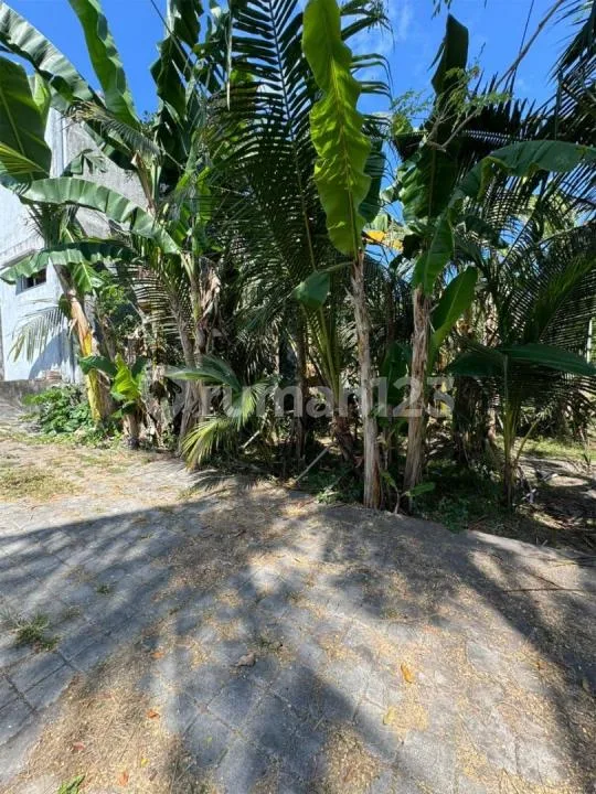 Dijual Tanah View Sawah, Sungai & Lembah - Saba Gianyar SHM - Image 1 of 4